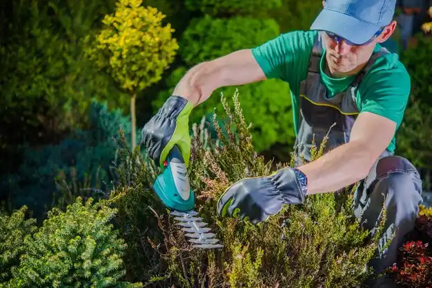 landscaping services East Springfield